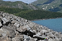VBS_1 -  Plateau du Mont-Cenise, Grand Croix, Marmotte_-_0146 mt